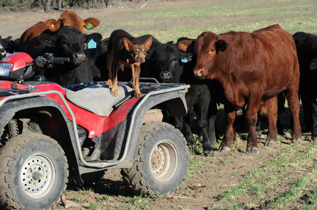 FLAT OUT: Punctured tyres on side-by-sides and quads are a pain for busy farmers. 