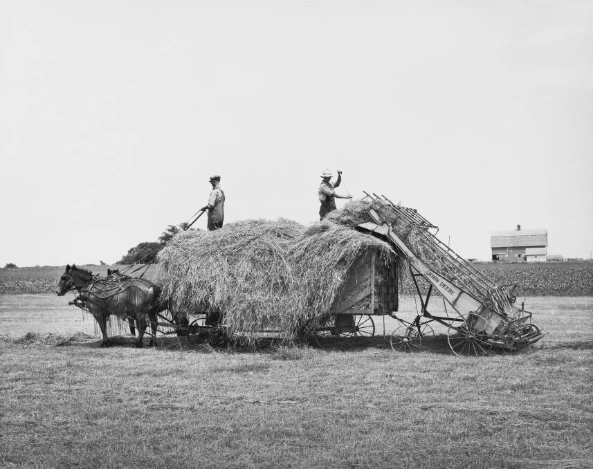THE GOOD OLD DAYS: It took tractors around 40 years to completely replace horses on farms. 