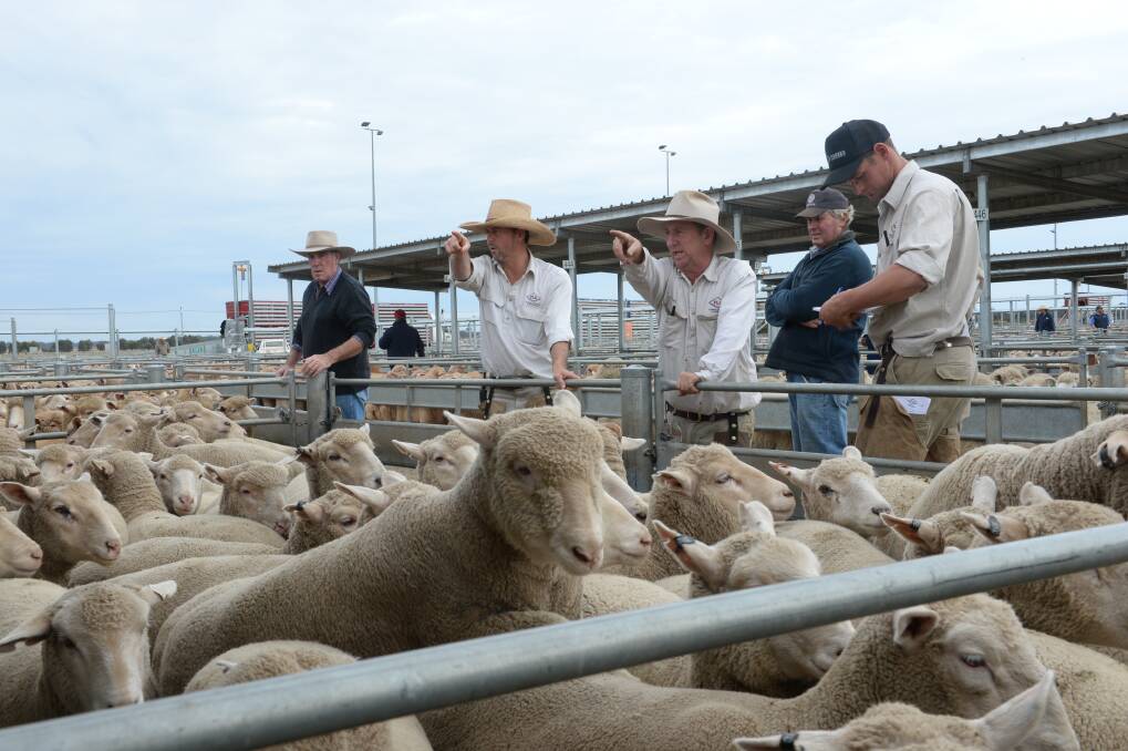 FORBES INTO ORBIT: How long will the Forbes saleyards in central west NSW hold the national lamb price record? 