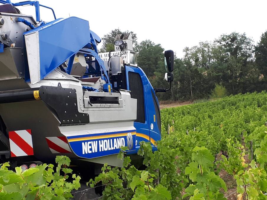 GRAPE IDEA: The new Combi-Grape sorting system is available only on the Braud 8030L compact grape harvester. 