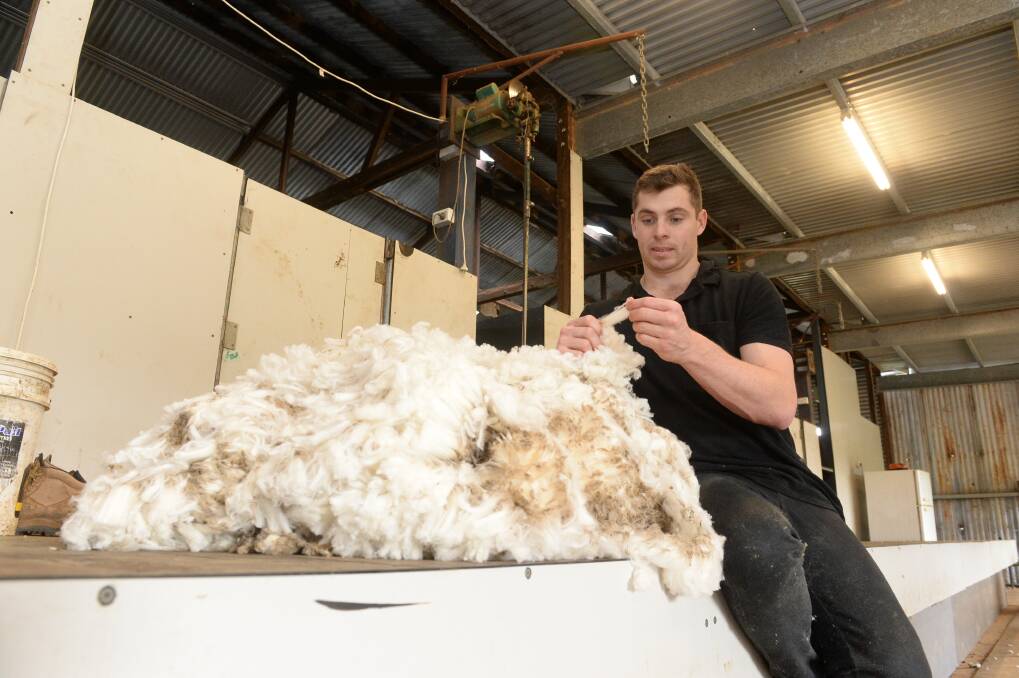 LOOKING GOOD: The wool market opened on a positive note today with the Eastern Market Indicator rising 25 cents to 1580c. 