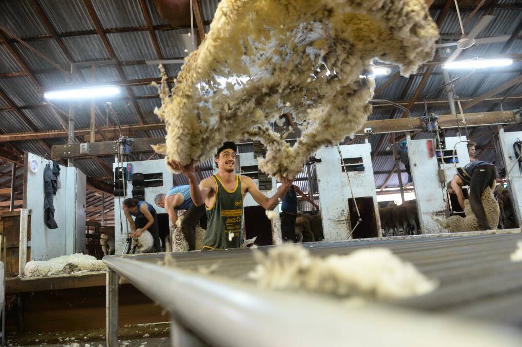 CALM BEFORE ANOTHER STORM?: A leading wool buyer and exporter is tipping Merino wool prices will hit a calm patch in the coming three or four weeks. 