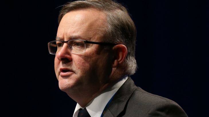 Federal Labor leader Anthony Albanese.