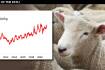 Supercycle or demand fundamentals? Sheepmeat producers enjoy the spoils