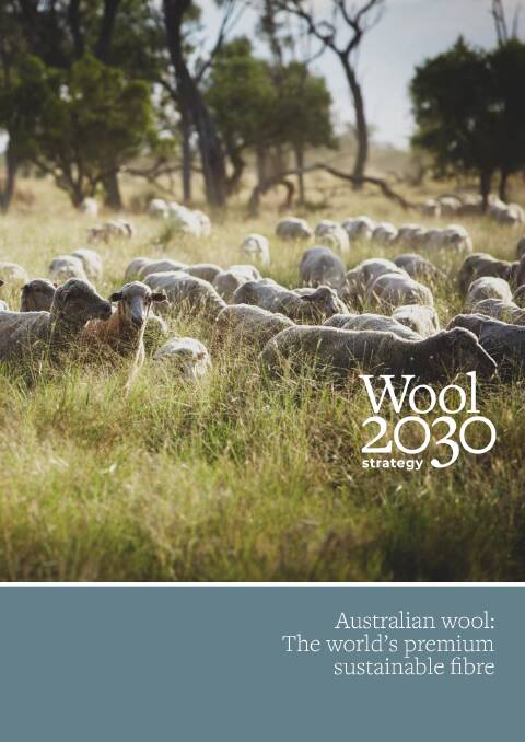Wool 2030 provides the wool industry with a strong vision over the next 10 years.