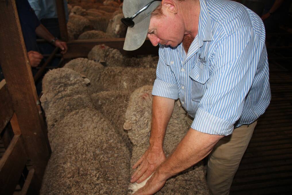 Matthew Coddington, owner and manager of Roseville Park Merino stud is closely involved in cutting edge research developments.