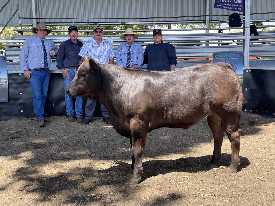 Champion potential show steer at Glen Innes with Say and Co auctioneer Ben McMahon; sponsor Matt Falconer, Virbac; breeder Colin McGilchrist; Say and Co agent Nathan Purvis and StockLive representative Tammy Robinson who knocked the bid down to the Queensland buyer. 