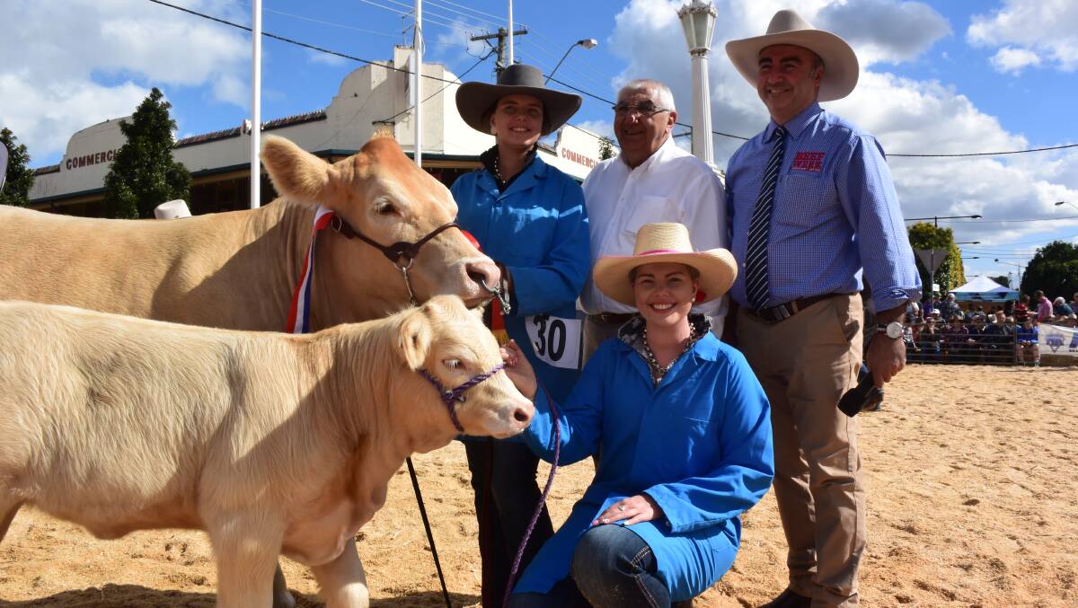 Supreme exhibit of Casino Beef Week stud cattle competition, rising three year old Temana Lilly by Kenmere Grand Master, and her calf by a Temana bull, exhibited by the Nicholls family, "Tookawhile Charolais", Rukenvale via Kyogle, Pictured are sisters Heidi and Catherine Nicholls with sponsor and outgoing member for Lismore , Thomas George, and his son - the outgoing Beef Week president - Stuart George, Casino.