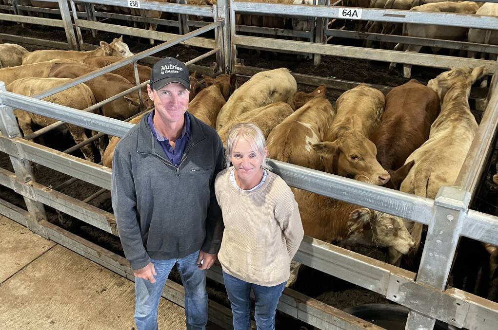 Nathan and Kym Charters, East Coraki, sold these Charolais cross steers to a top of 345kg, at 358c/kg or $1235.