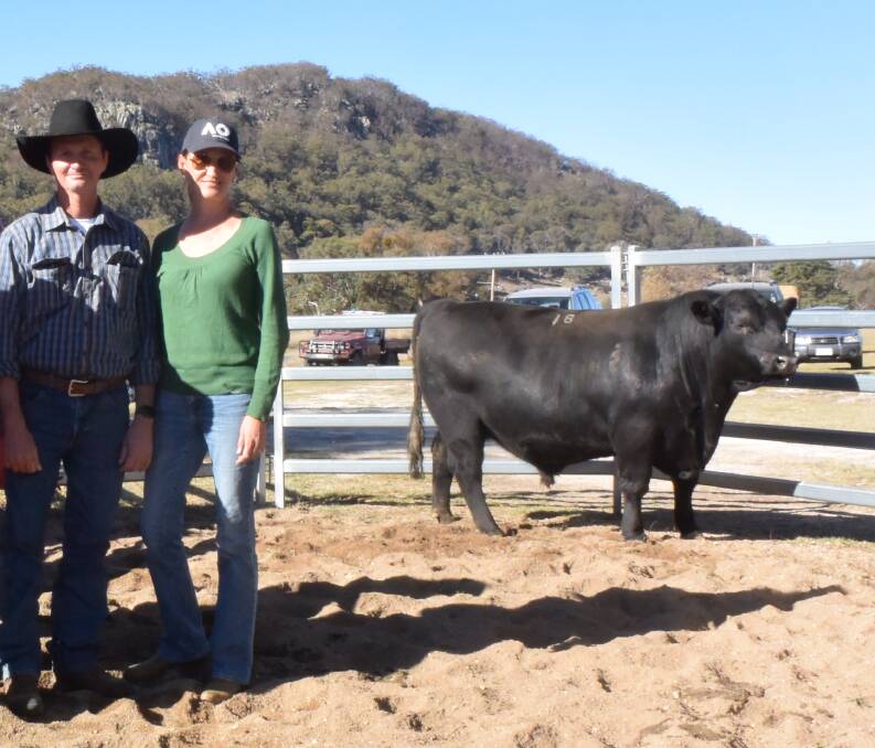Alumy Creek Compass N055 sold for a sale record of $15,000 to Matt and Jackie Tennyson, Taroom, Qld.