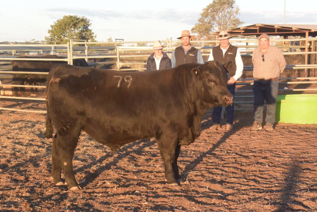 Cameron Mulcahy and his uncle Ian, Grimstead Angus stud at Urbenville, waved down the top-priced yearling bull Clunie Range Prince William P321, 14 months,for $24,000. they are pictured with stud principals Rohan and Brett Guest.