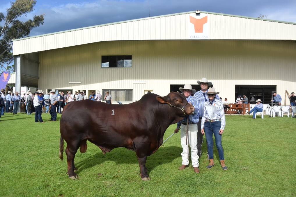 Lot 1 Yulgilbar Lieutenant L68, sold to Ross Grazing, Nebo Qld for $41,000 pictured with James Dockrill, Yulgilbar manager Rob Sinnamon and Yulgilbar Foundation board member Samantha Baillieu, Melbourne.
