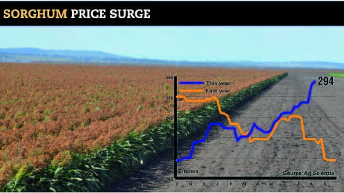 Sorghum prices are on the rise with supply at half of what it was last year. While demand will fuel further rises, support is not expected from lotfeeders who shy away from the grain at these prices.