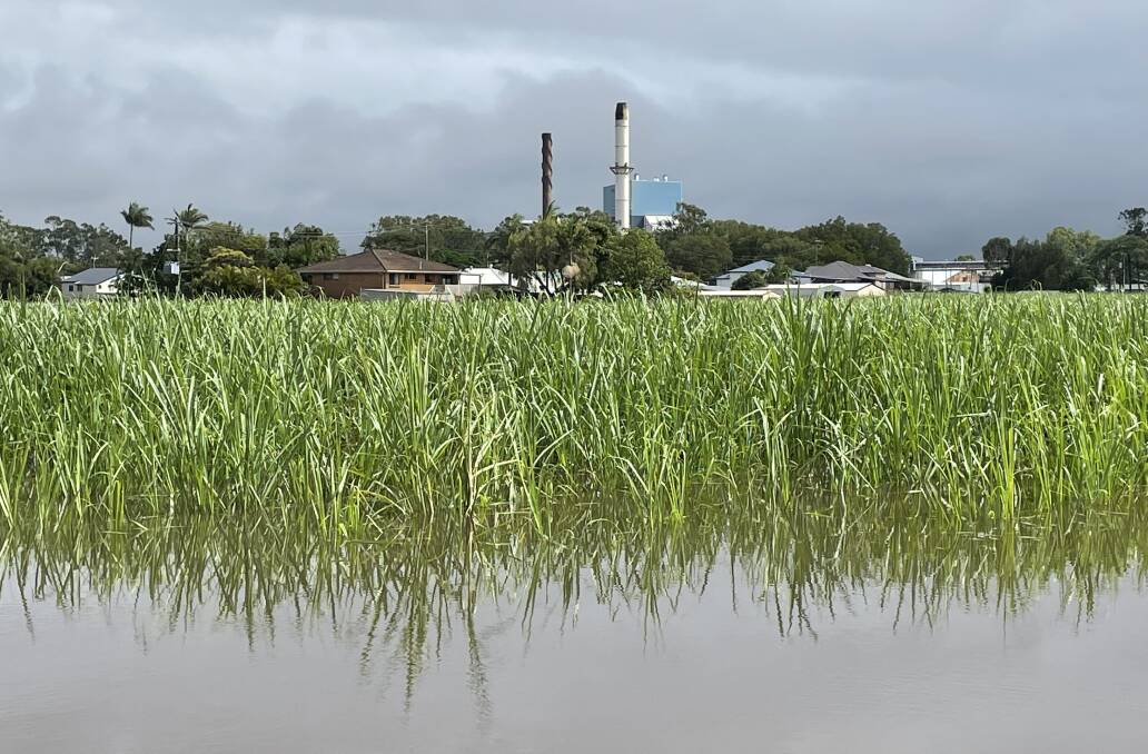 Damage to Broadwater sugar mill will cost the NSW Sugar Milling Co-opertive tens of millions of dollars to restore. Like Norco, which lost its ice cream factory at Lismore, more grant funding is needed if jobs are to be locally retained.