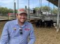 Manager of the council-owned Northern Rivers Livestock Exchange at Casino, Brad Willis, with cattle that have survived the floods but whose owners cannot be found. 