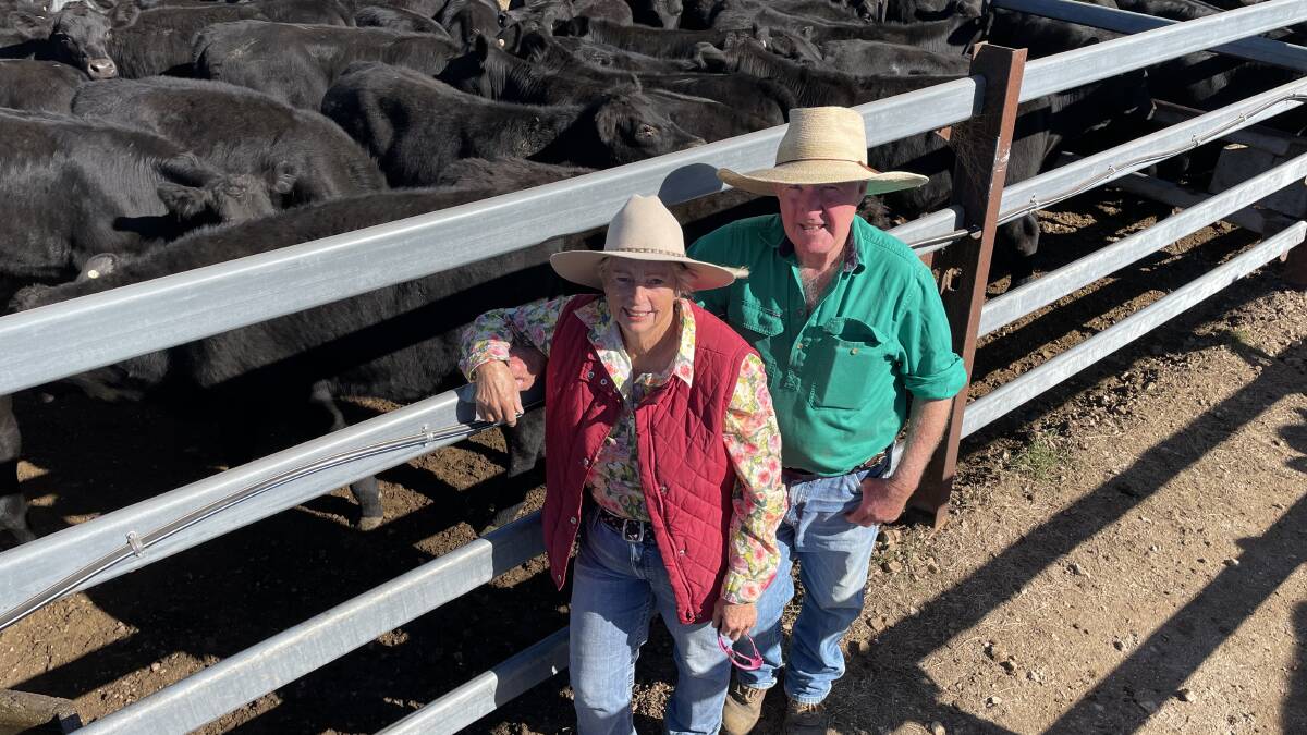Sue and Neville Grogan, Timbera Road, offered Angus steers with Speriby North blood that made a top of $1464 for 375kg at 390c/kg and averaged $1273 sold through long-term repeat buyer BJA, Inverell, to be backgrounded on oats ahead of feedlot entry.