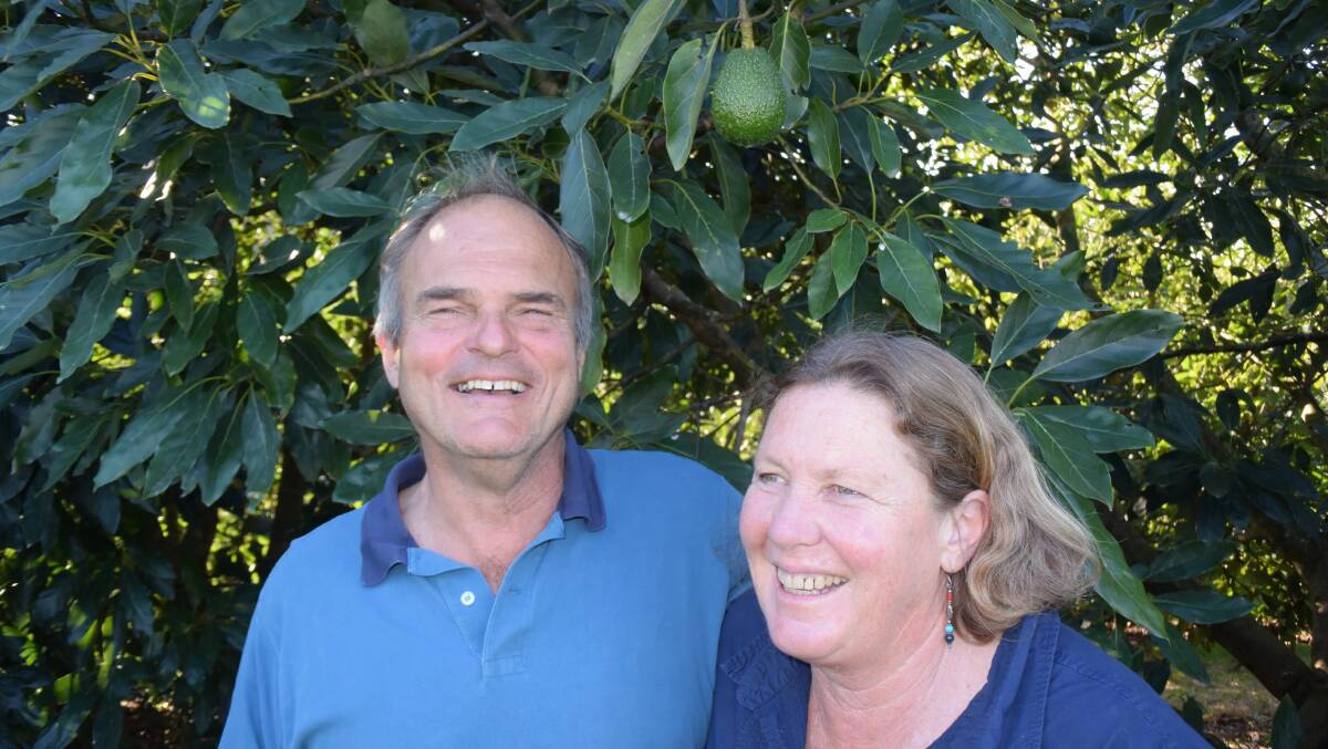 Comboyne avocado growers Ernst and Penny Tideman fear a protracted downturn for anything other than premium grade fruit.