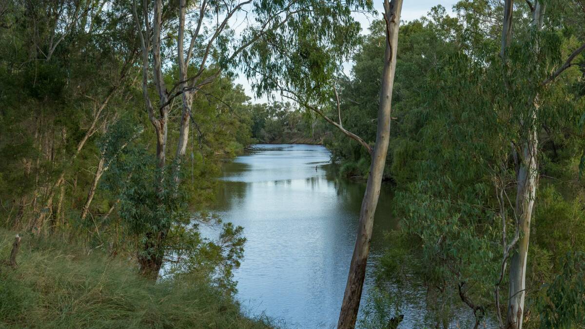 Irrigators fear for their future on the New South Wales side of the Border Rivers following amendments to floodplain harvesting regulations.