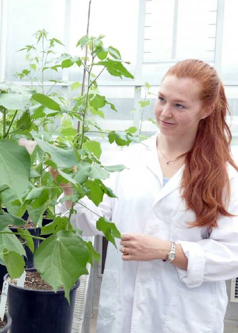 Cotton biologist Demi Sargent will examine a process known as mesophyll conductance thanks to receiving the ABARES Science and Innovation 2021 award. 