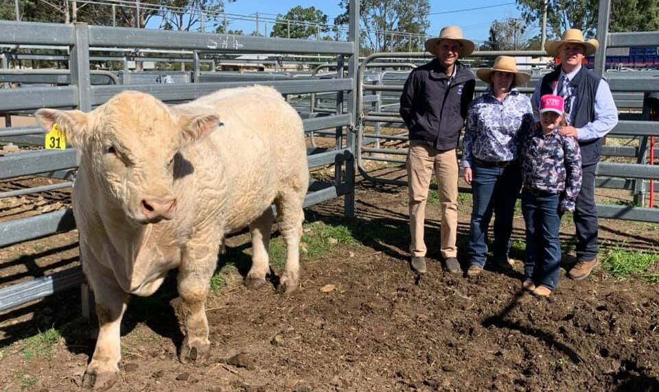 Lot 31 with agent Garth Weatherall, Boyd OBrien Bartholomew with Janine Lau, Ross Sticklin and daughter Kate Sticklin of Lilydale Charolais.