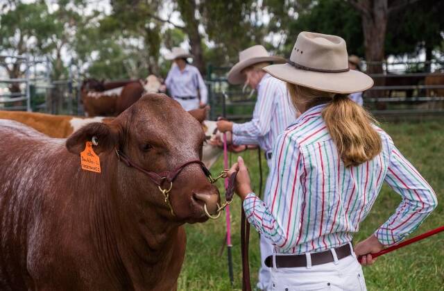 PLC Armidale students will have to miss out on their biggest show for the second year in a row. Picture provided: Briony Looker.