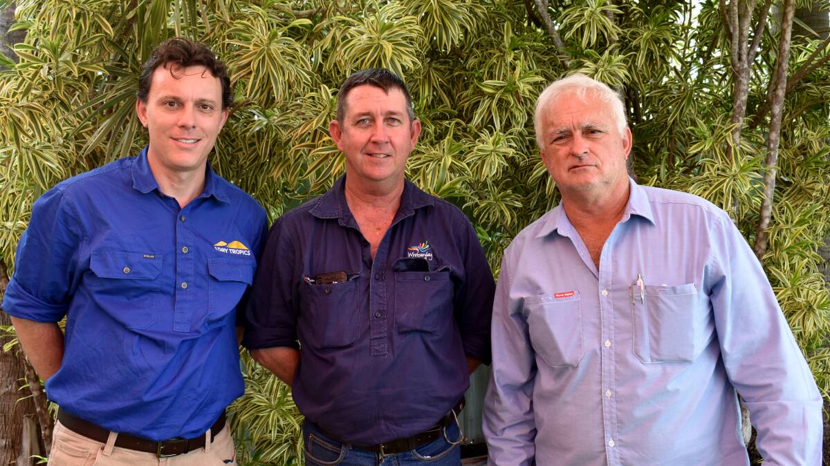Cane grower Robert Boccalatte (right) with NQ Dry Tropics Project Officer Brad Holt (left) and Bren Fuller, Land Protection Officer, Whitsunday Regional Council (centre).