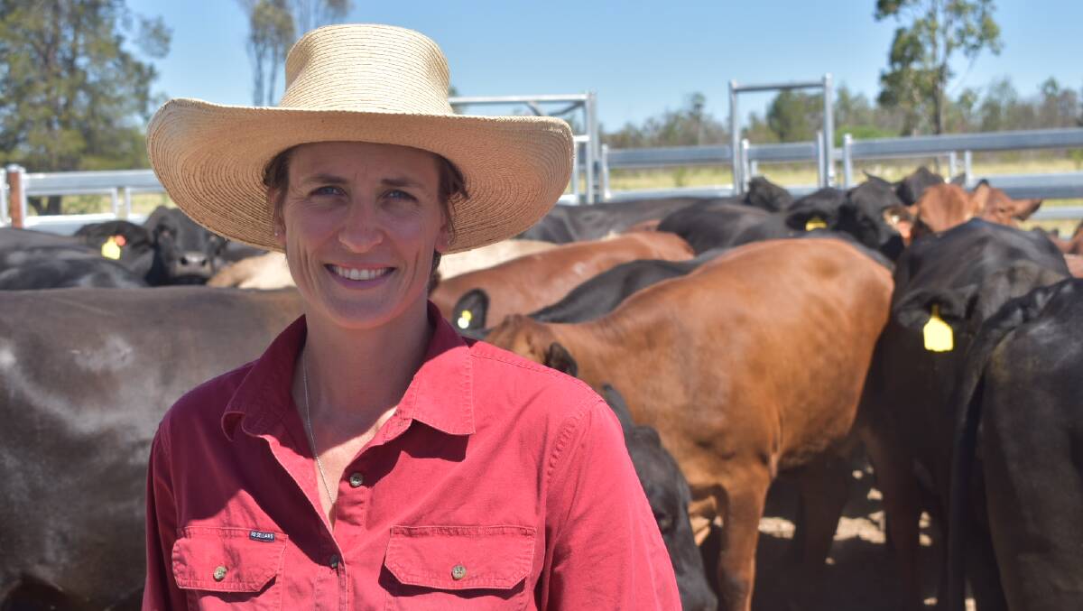 Anne Hughes, Dulacca, on site with mixed cattle breed.
