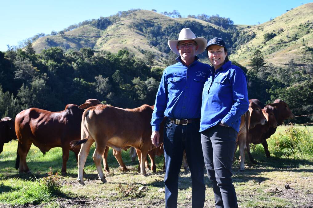 SCENIC BEAUTY: Graziers Rod and Deb Richardson with their uniquely tick-resistant Sahiwal cattle. 