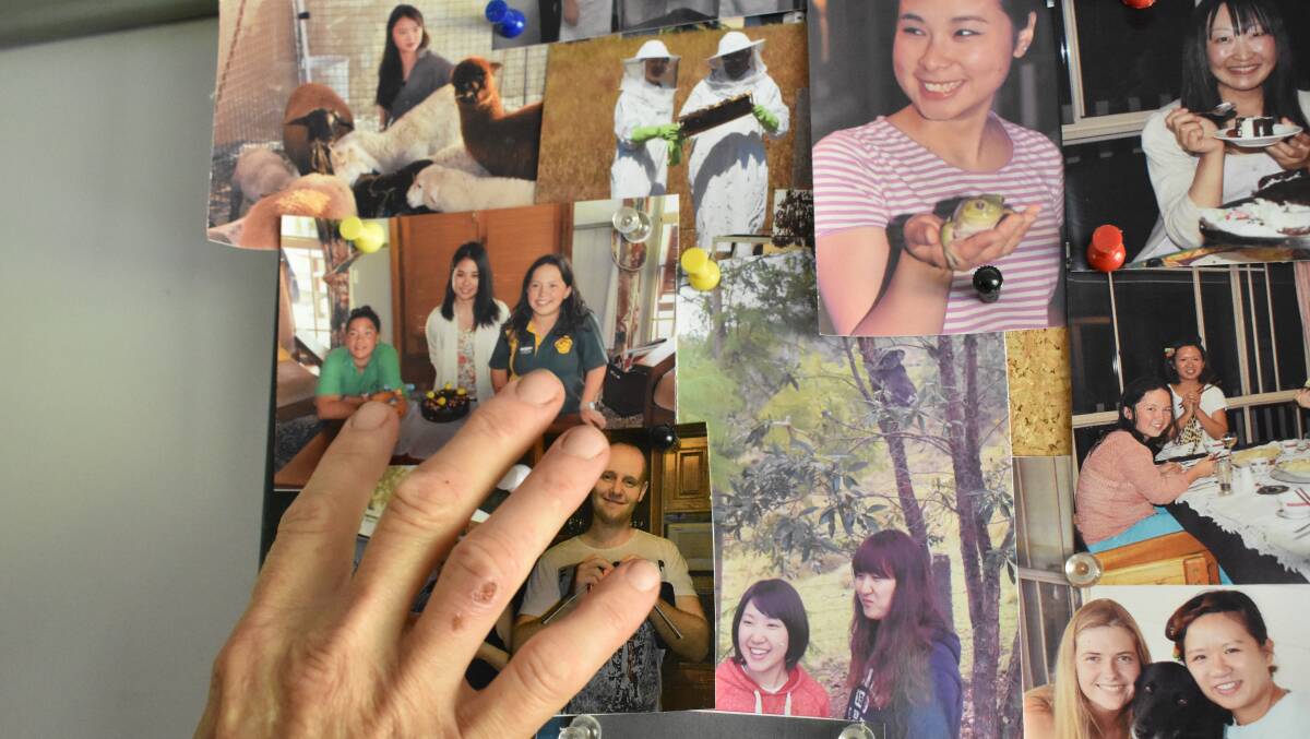 A photo collage of the family friends the Lee's have met through WWOOFers.