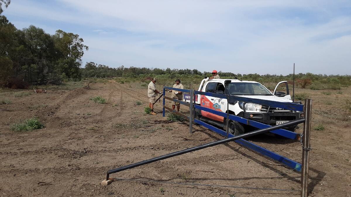 QMDCL Aboriginal Rangers straining top wire on riparian fence along the Murray Darling.