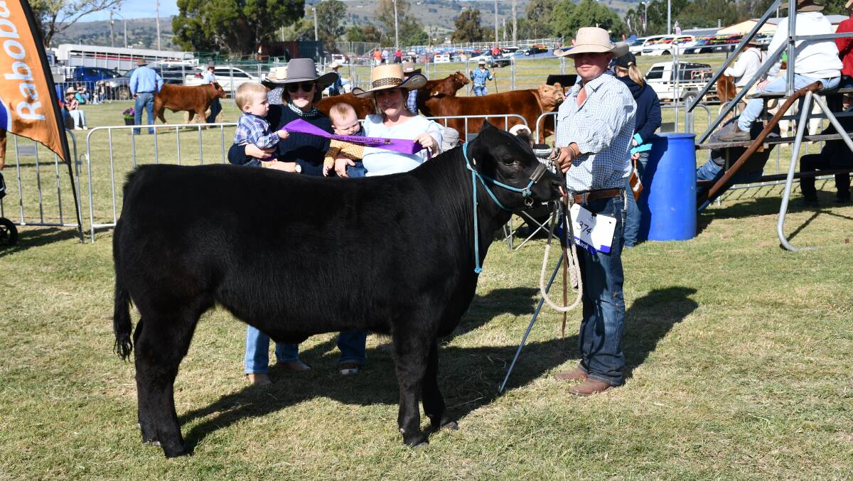 Winning steer Johnno with Hudson O'Dwyer, Fletcher McMahon, Shelby McMahon, Sarah Rathmell and Anthony O'Dwyer.