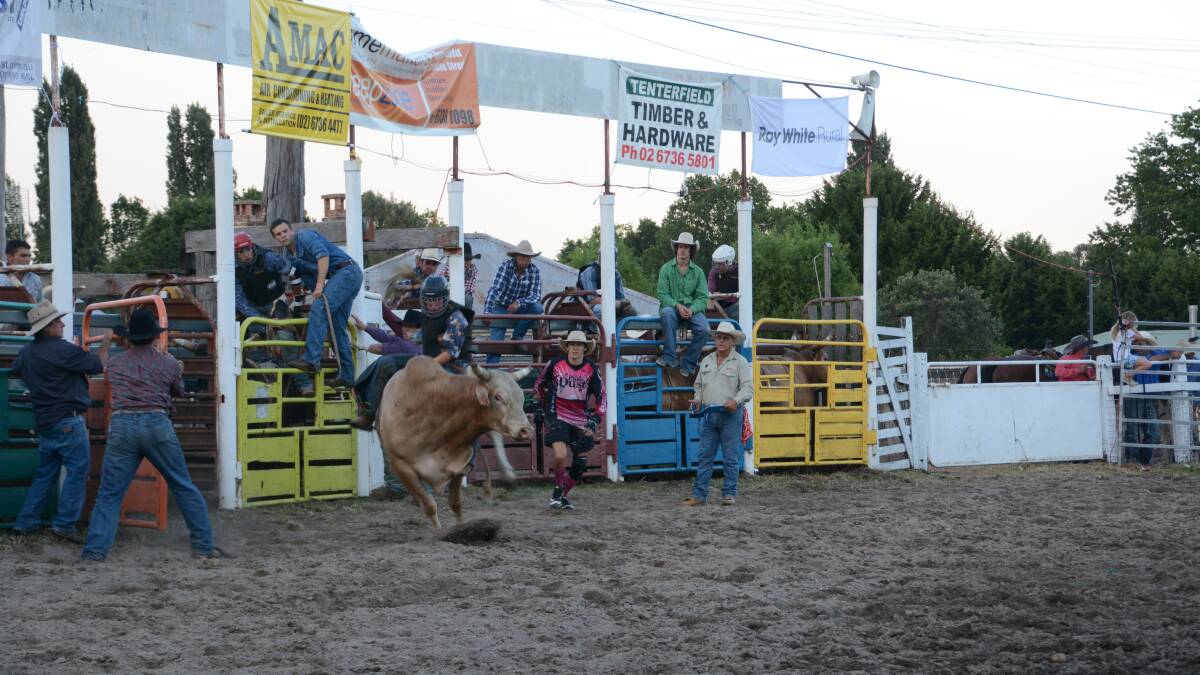 Nathan Gilbert's unfortunate bull ride at the Tenterfield Show.
