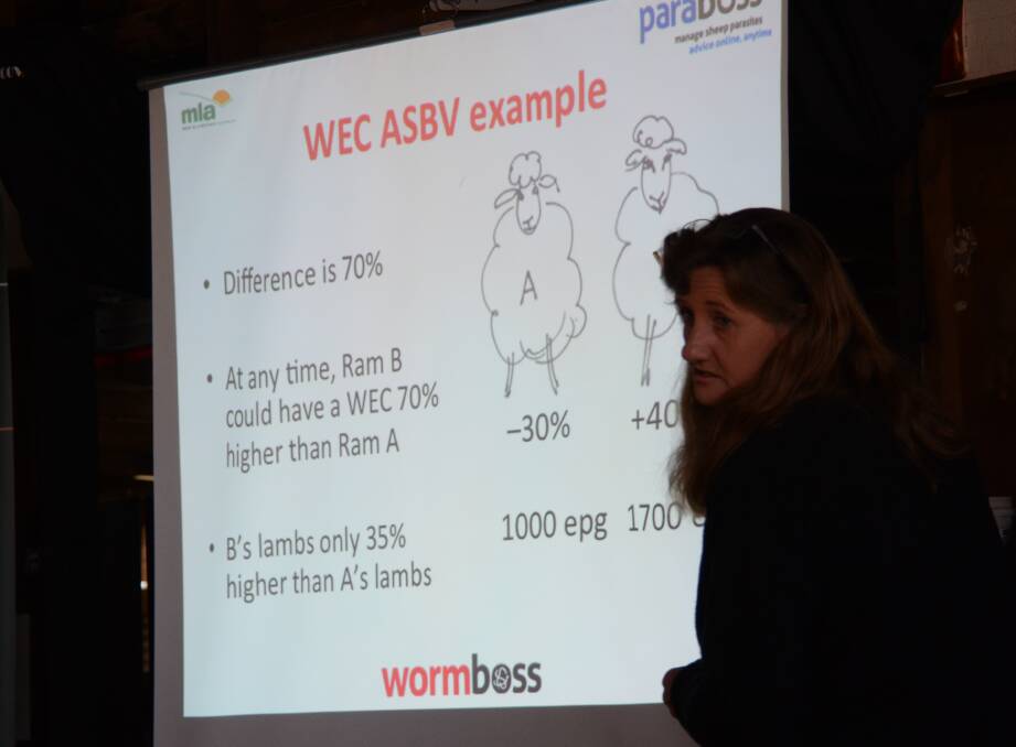 Choosing rams with lower-than-average worm egg count estimated breeding values can improve the resiliance of a flock against barber's pole worm.