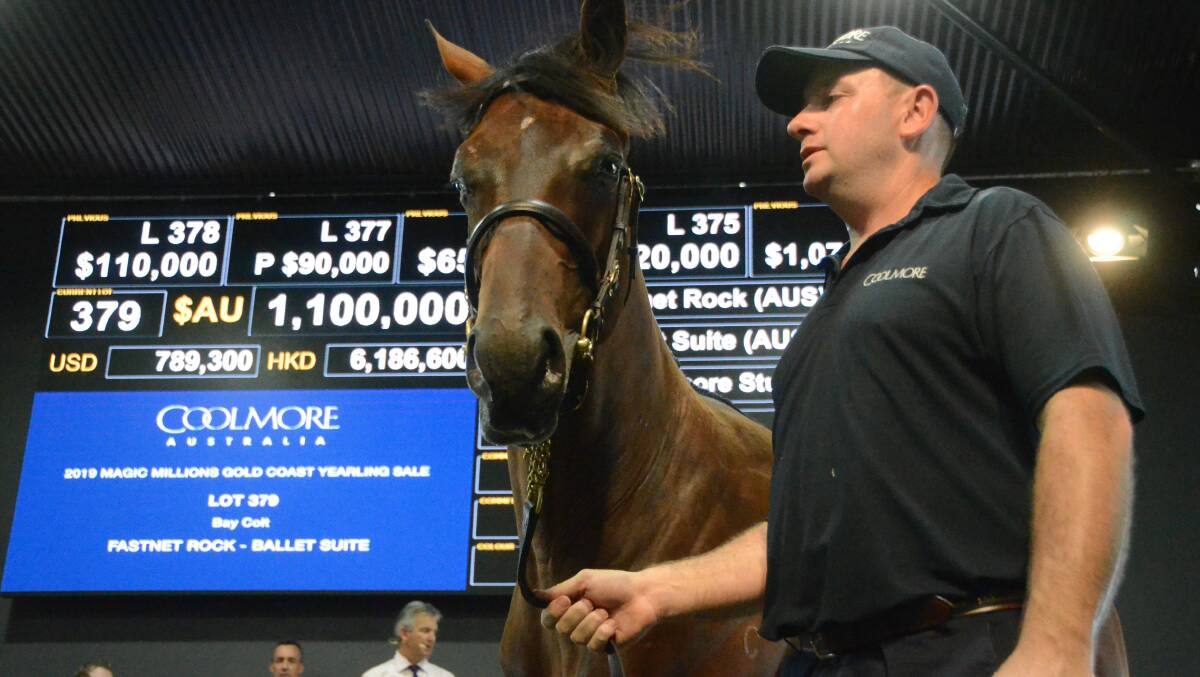 Yearling handler Dan Krzanic with the Fastnet Rock – Ballet Suite colt which sold from Coolmore Stud, Jerrys Plains, for $1.1 million at the Magic Millions Yearling Sale at the Gold Coast sale yesterday. Photo: Virginia Harvey