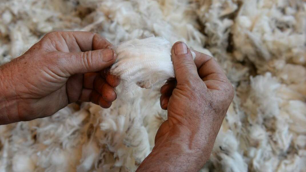 The wool market recovery is underway