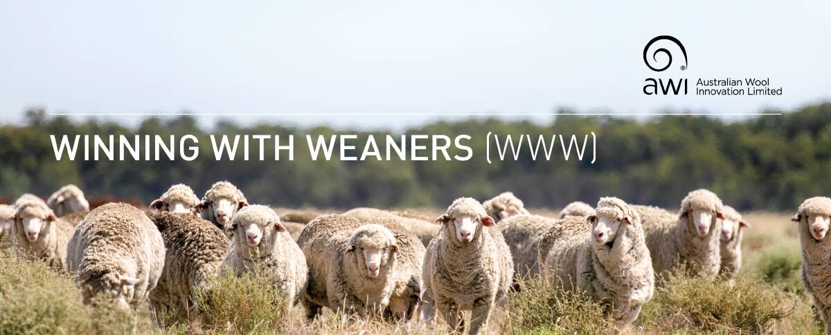 Winning with weaners