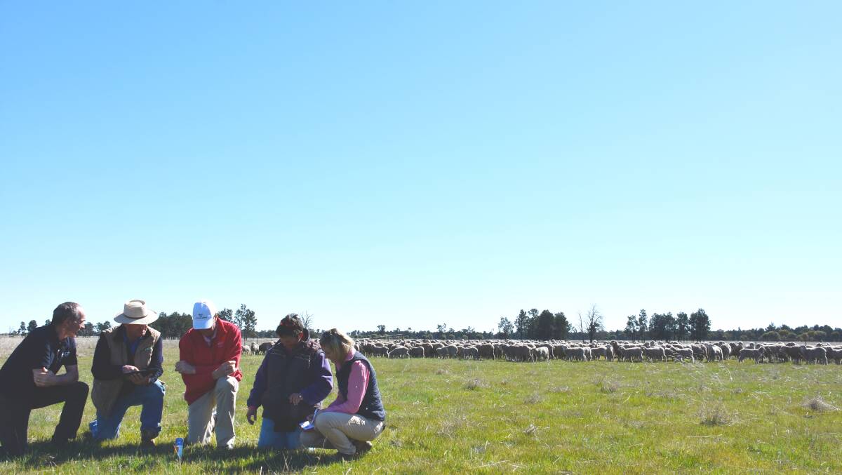 Rick White, Bayer; John Sutherland, Pooginook; Rob Inglis, Elders; Katrina Lieschke, Pooginook; and Rochelle Noble, Elders, measuring pasture and discussing management options to increase production at "Pooginook" under collaborative project Bayer Grow.