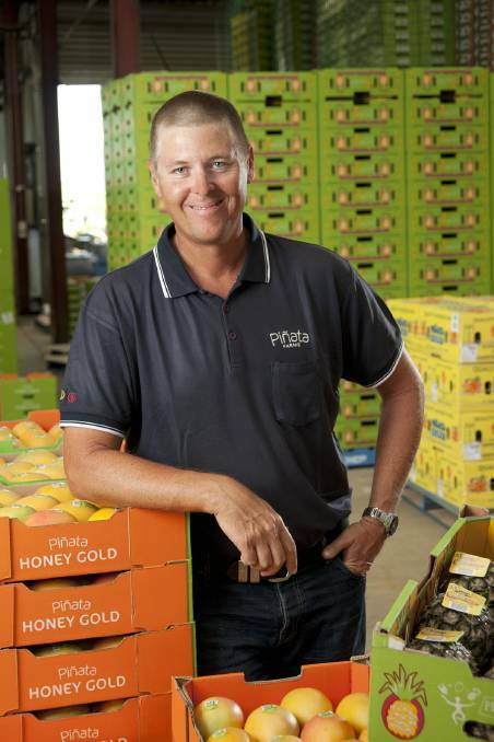 Pinata Farms managing director Gavin Scurr, who said the project had a huge impact on the company's mango growing business. 