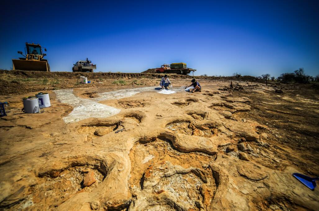 The sauropod tracks discovered at the Karoola property outside of Winton. 