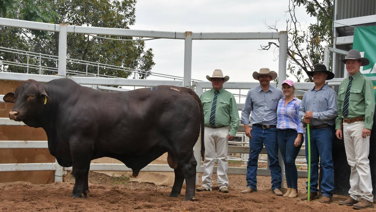 Top-priced bull Yarrabee Greenbank (P) with James Saunders, buyers Luke and Carly Baker, seller Will Barlow and Bryton Virgo. 