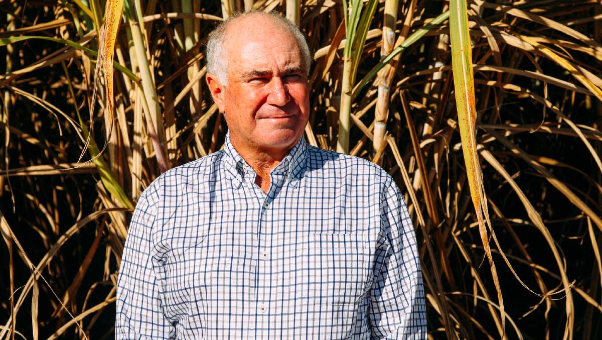 Canegrowers Isis chair and third-generation cane farmer Mark Mammino.