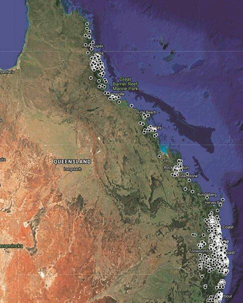 The location of eastern paralysis ticks in Queensland. CREDIT: Microbiology Australia.