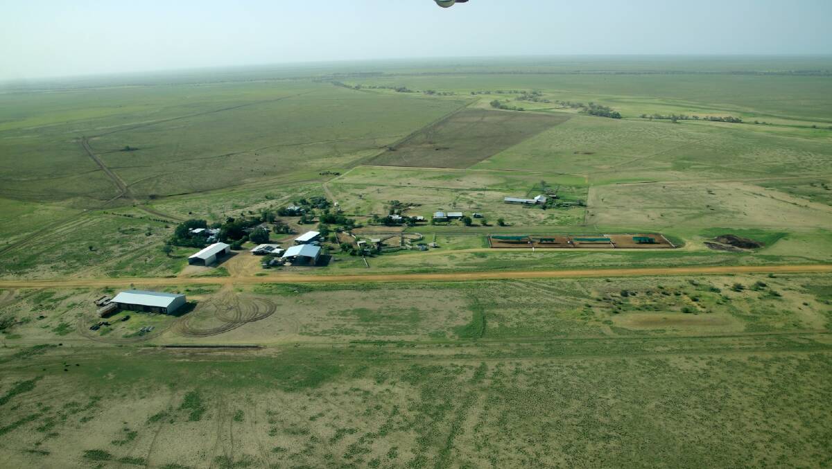 An aerial view of green pasture coming through on Orielton station before the grasshoppers.
