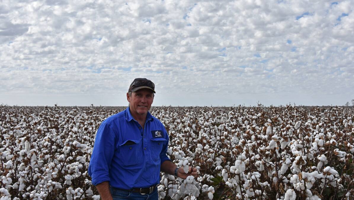 Driven to improve: Queensland cotton grower Glenn Rogan, Benelong, St George, says he is constantly motivated to improve the quality of his crop. Picture: Hayley Kennedy