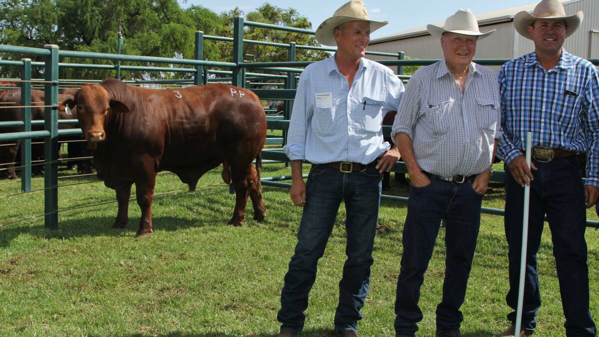 James and Russell Pearson, the purchasers of the second top-priced bull, with Andrew Walker, Chatham, Tambo.