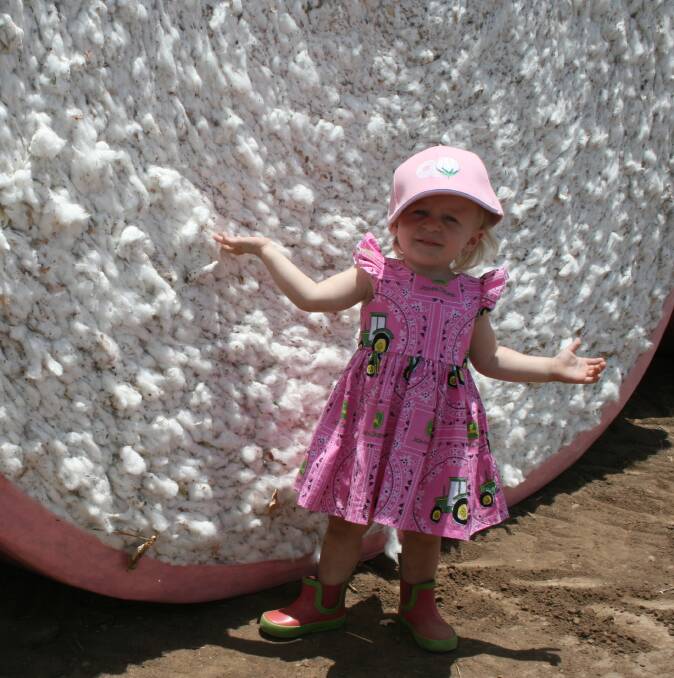 Young Felicity Elsden casting her eye over this year's cotton crop at Jenderrie Farms outside Emerald. 
