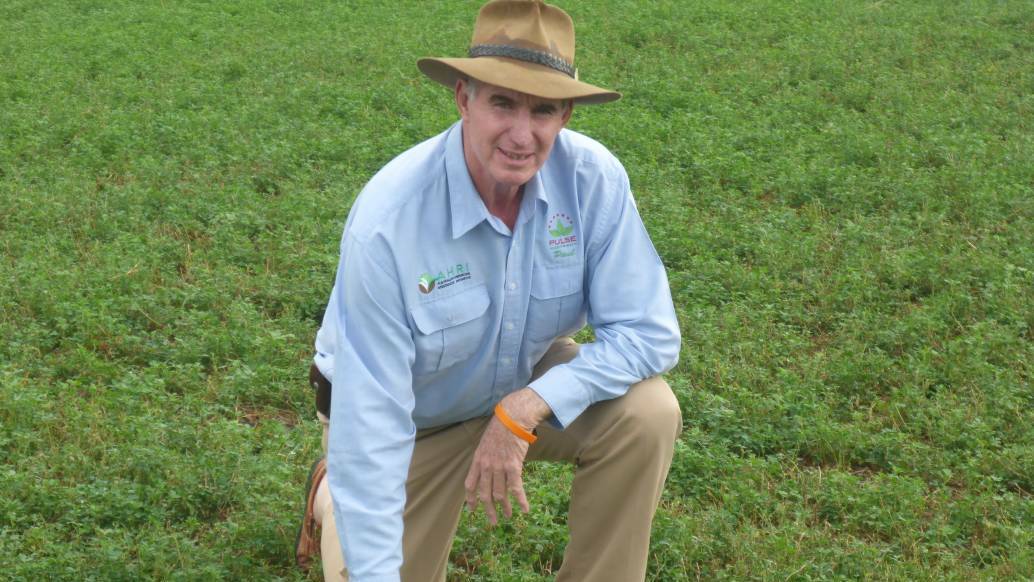 Agronomist Paul McIntosh, who said the development of new varieties helped grow Australia's chickpea industry. 