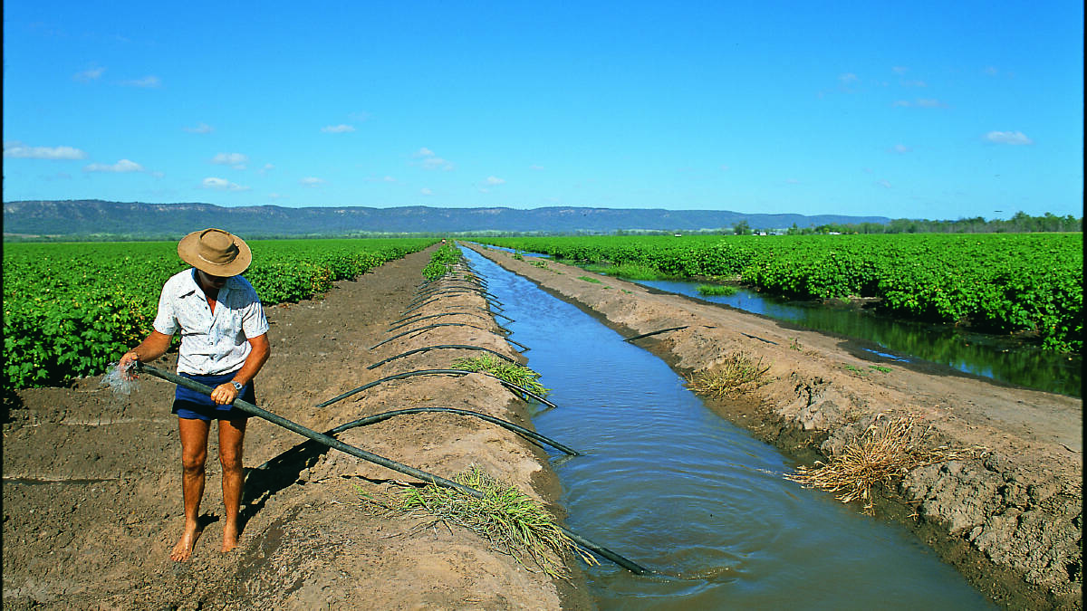 A review of irrigation pricing in Queensland has been described as a mixed bag. 