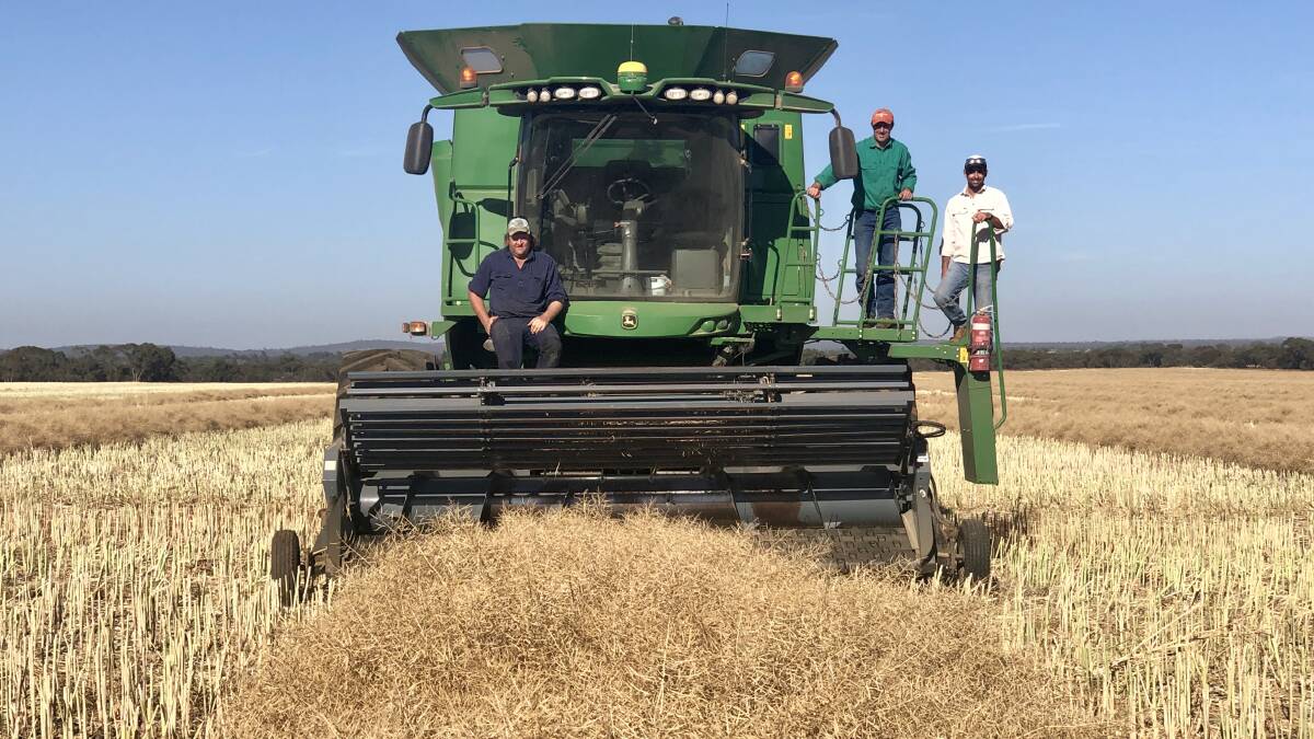 Barry Haskins (in green) with Chris Morshead, with whom he share farms, and one of his agronomists, Albert Gorman, in the canola crop that averaged 1.4 tonnes a hectare. 