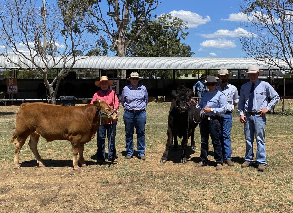 Breeder of the apricot steer Cathy Yarnold, Proston ag teacher Katrina Hayward, ag assistant Mikaela Ross, Smithfield Cattle Co cattle buyer Ryan Brown, and breeder of the black steer, Corey Evans, with the new members of the Proston State School cattle show team. 